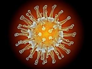 Biosynex傳染病快速診斷試劑盒(膠體金法)